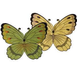  2er Set Schmetterlinge gelb+grün (SP)